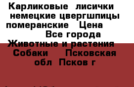 Карликовые “лисички“  немецкие цвергшпицы/померанские › Цена ­ 35 000 - Все города Животные и растения » Собаки   . Псковская обл.,Псков г.